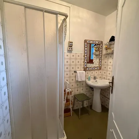 Il Cactus *