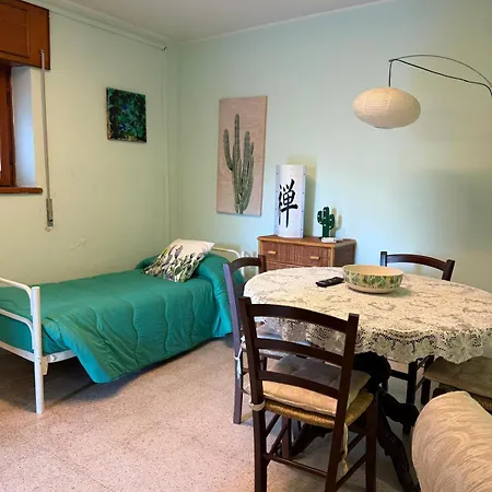Il Cactus