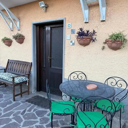 Il Cactus * Tarano