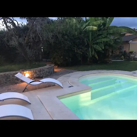 Il Cactus